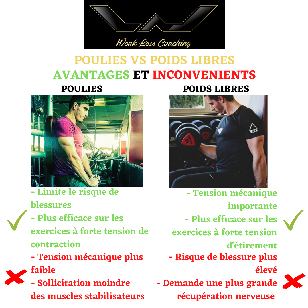 Tampon D'entraînement Conçu Par Charles Glass - Pour Poids Libres/machines - Cuir - Taille 3.0